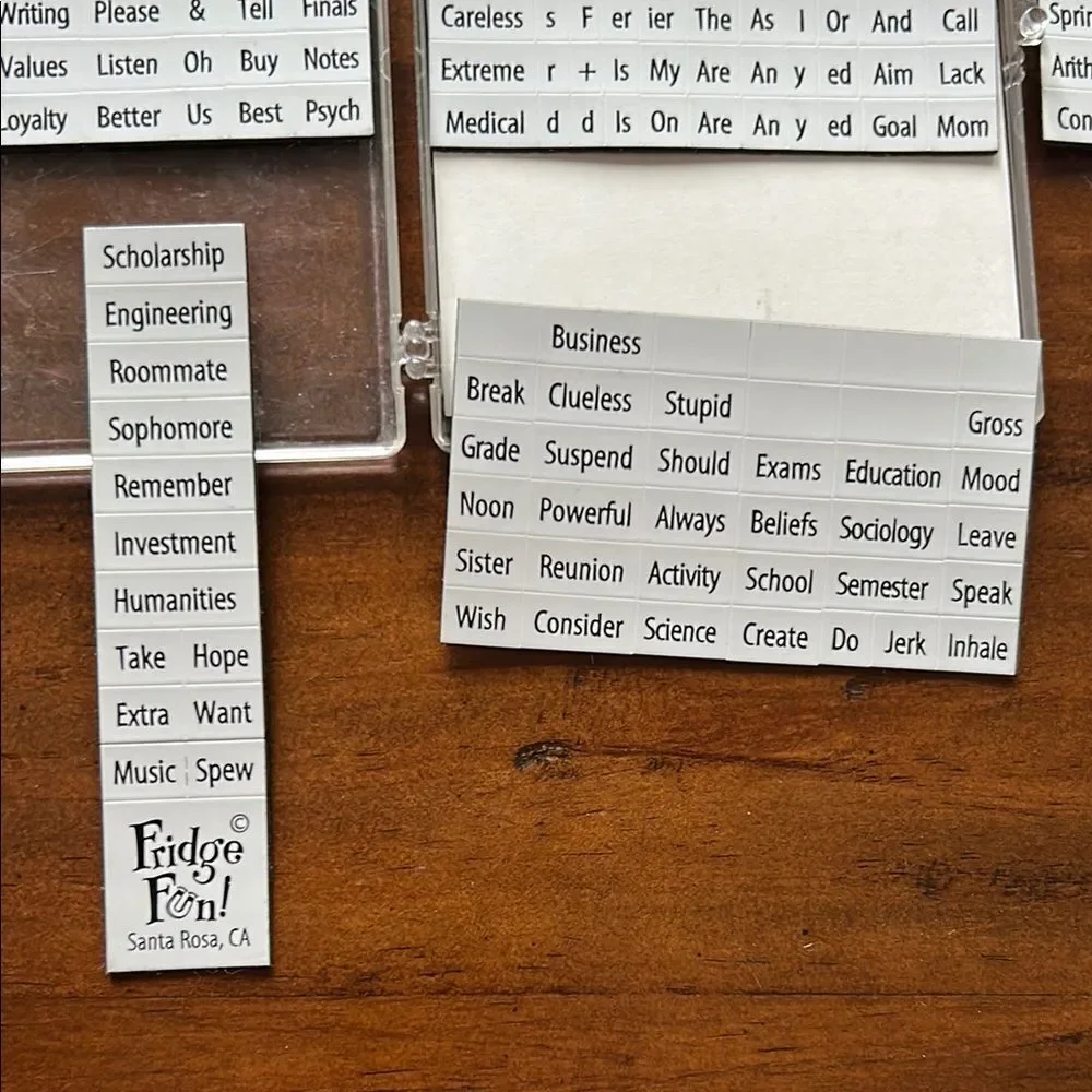 Fridge Fun College Word Magnets